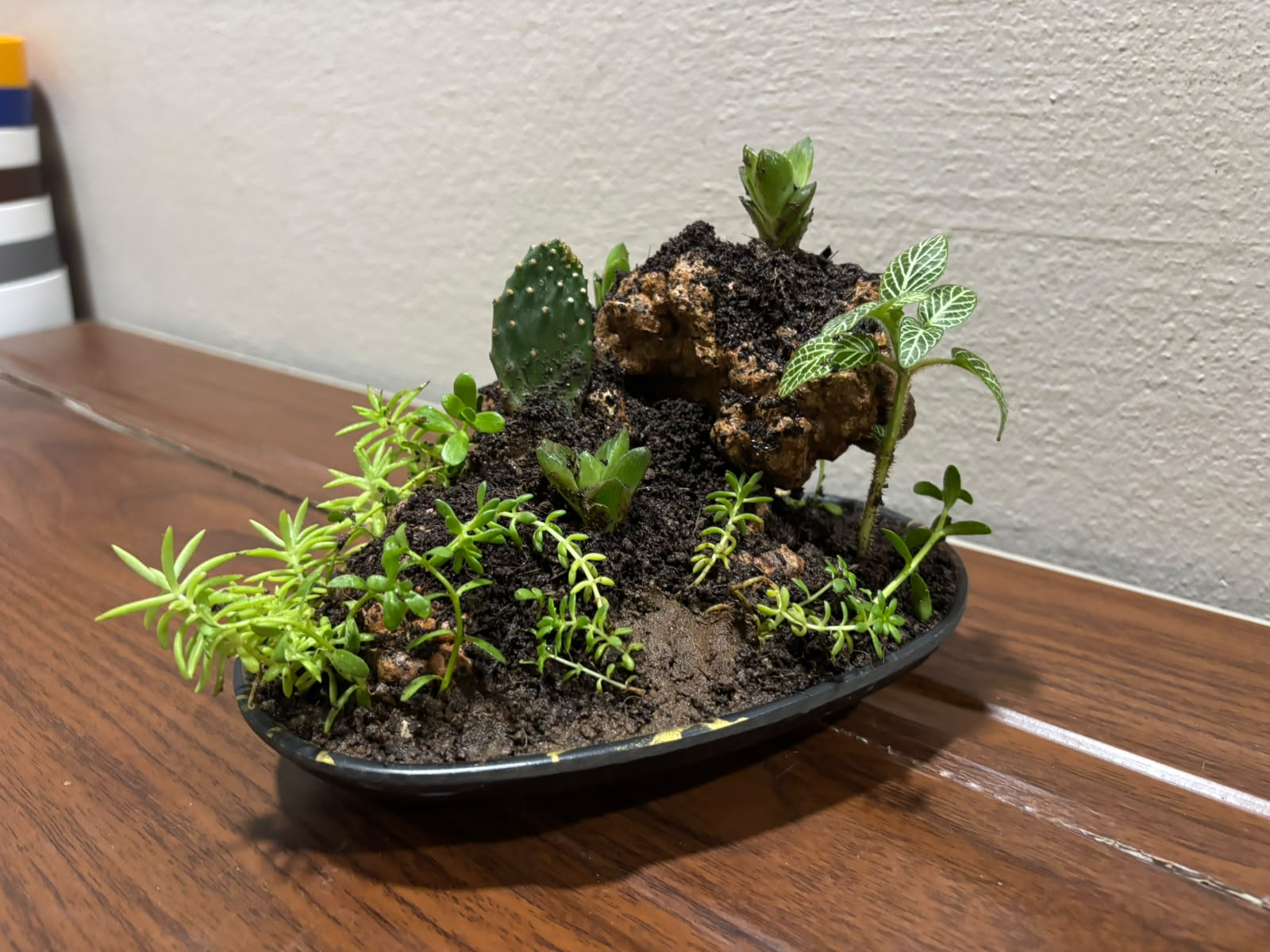Flowering plants